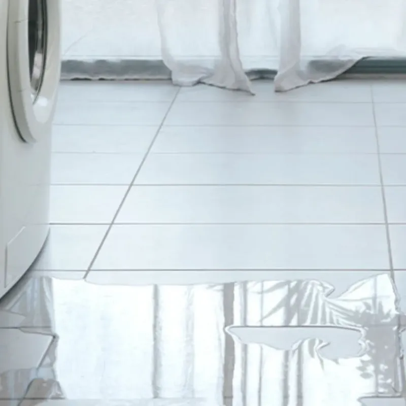 Appliance Leak Cleanup in Springboro, OH