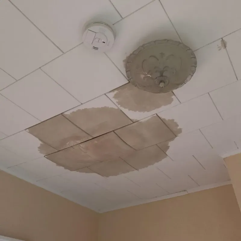 Ceiling Water Damage Repair in Springboro, OH