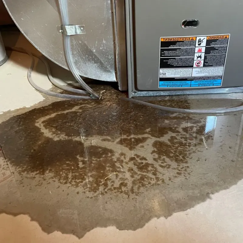 Pipe Burst and Leak Restoration in Springboro, OH