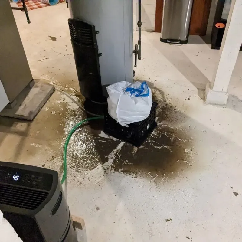 Sewage Backup Cleanup Service in Springboro, OH